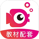 鲤鱼辅导app v7.8.4安卓版