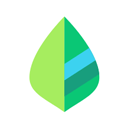 薄荷记账app v11.5.2安卓版