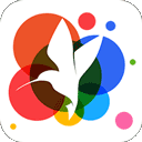 360小鸟壁纸手机版 v3.0.2安卓版