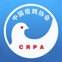 中国信鸽协会app v2.42.0安卓版