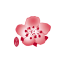 华航app v25.03.10安卓版