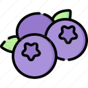 蓝莓音乐app v2.0安卓版