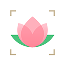 识花app官方版 v1.3.8安卓版