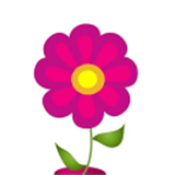 经期跟踪器精简版app v12.5.9安卓版