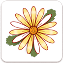 月经期记录app v1.2.26安卓版