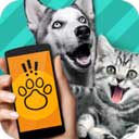 宠物对话翻译器最新版