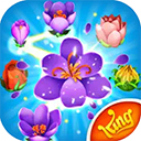 花花传奇ios版(Blossom Blast Saga) v100.204.1.0