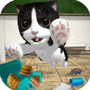 猫咪模拟器苹果版 v5.6.1